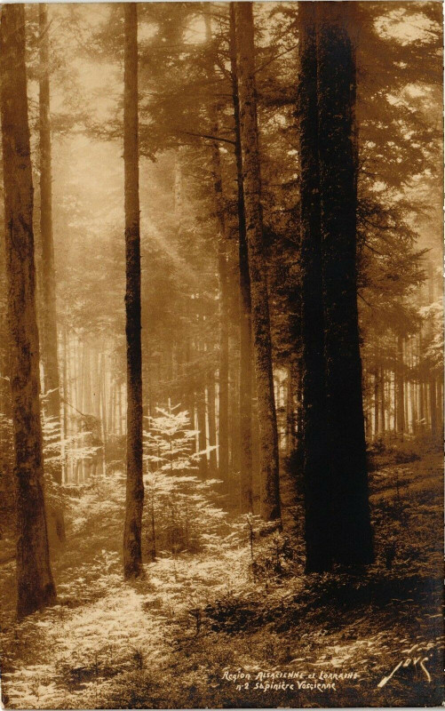 Carte postale ancienne Ancienne et Lorraine