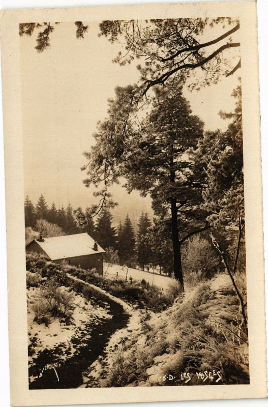 Carte postale ancienne Les Vosges
