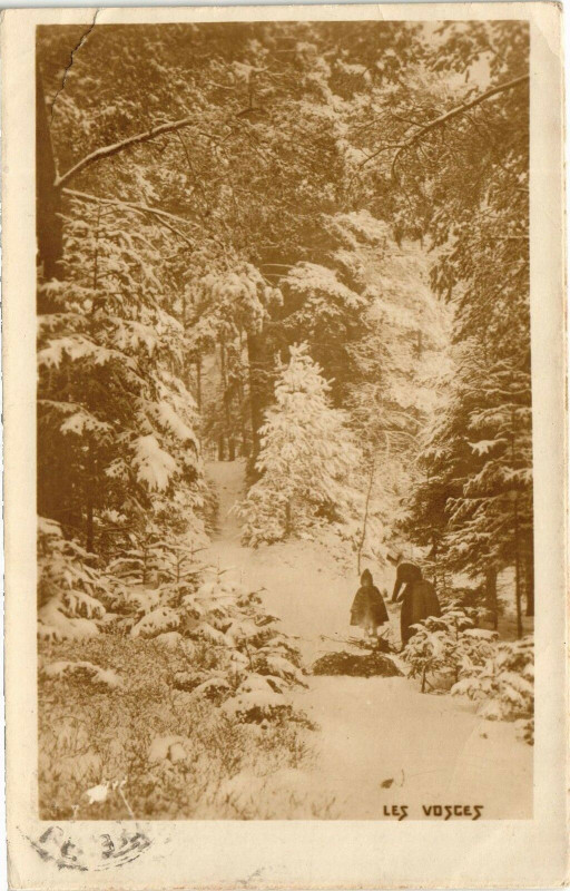 Carte postale ancienne Les Vosges
