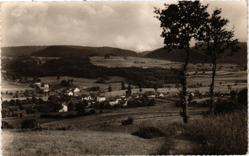 Carte postale ancienne Lepanges Echappée sur le Bourg