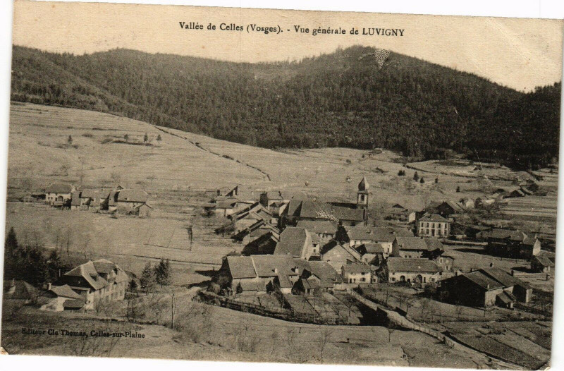 Carte postale ancienne Vallée de Celles - Vue générale de Luvigny à Bionville