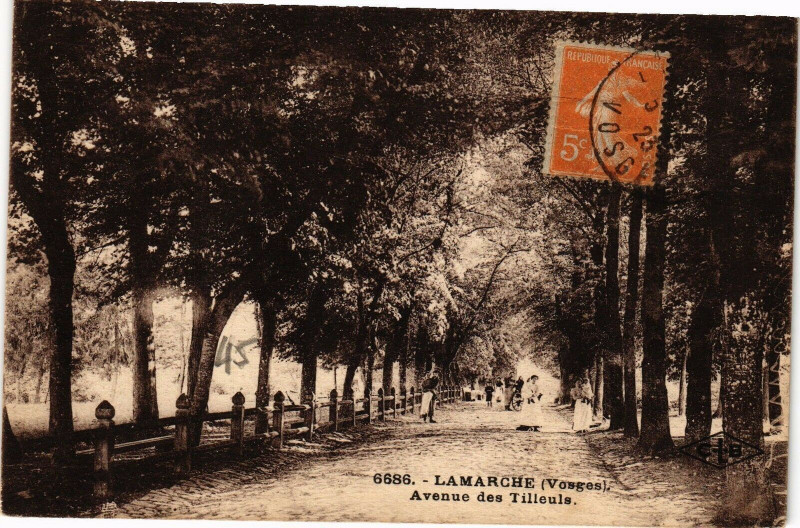Carte postale ancienne Lamarche - Avenue des Tilleule à Lamarche