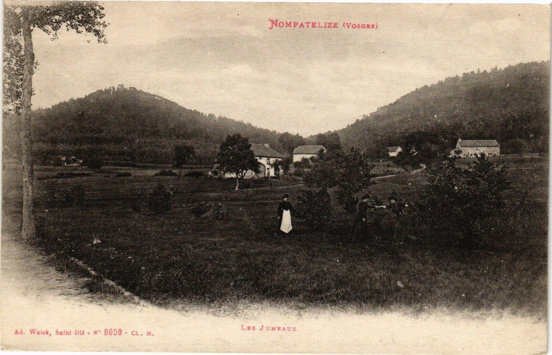 Carte postale ancienne Nompatelize - Les Jumpaux à Nompatelize