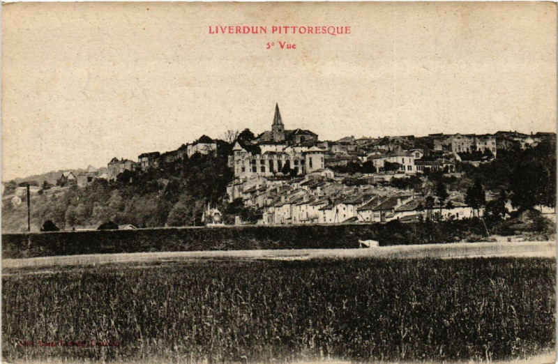 Carte postale ancienne Liverdun - Vue à Liverdun