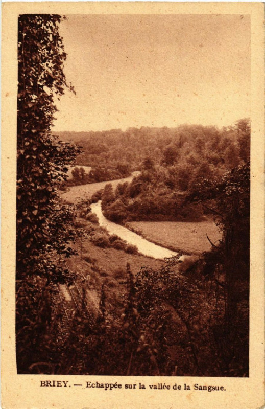 Carte postale ancienne Briey - Echappée sur la vallée de la Sangsue
