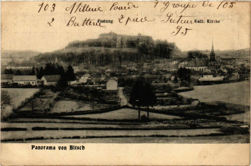 Carte postale ancienne Bitche - Bitsch - Panorama