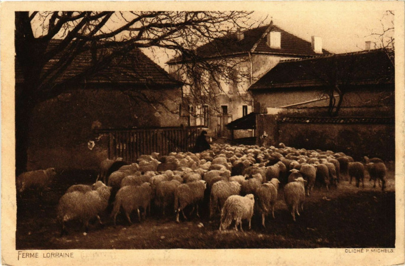 Carte postale ancienne Ferme Lorraine
