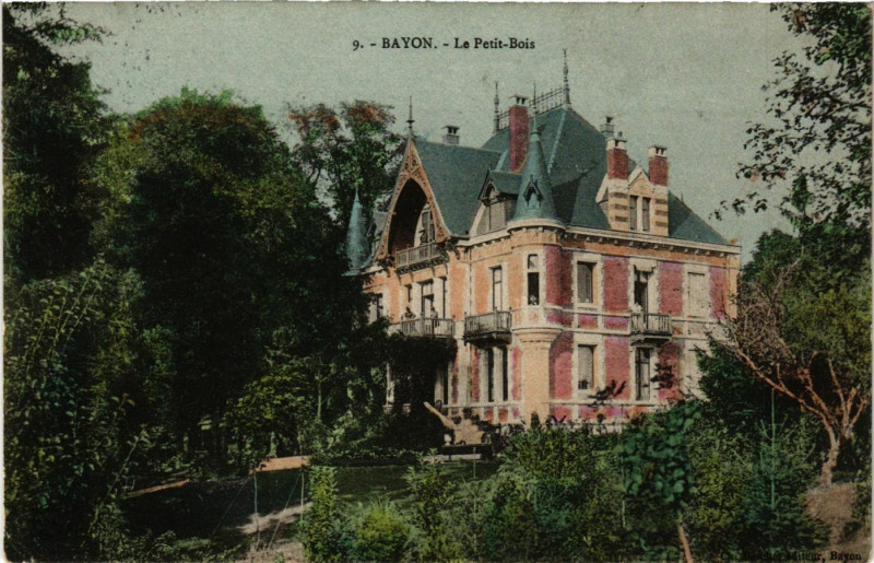 Carte postale ancienne Bqyon - Le Petit Bois