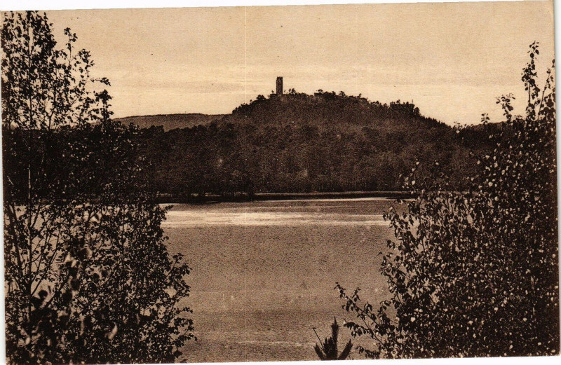 Carte postale ancienne Hotel de L'Etang de Hanau
