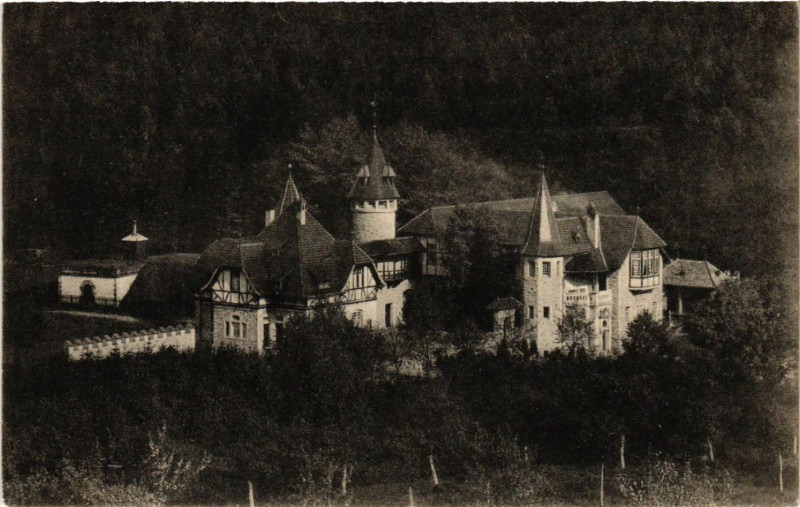 Carte postale ancienne Forbach i. Lothr. - Burghof à Forbach