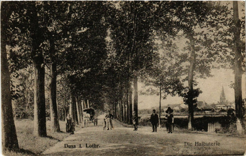 Carte postale ancienne Dieuze - Duss i. L. - Die Halbuterie à Dieuze