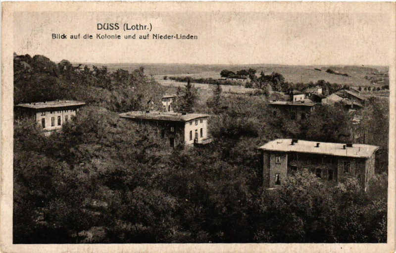 Carte postale ancienne Dieuze Duss i. L. Blick auf die Kolonie und auf Nieder-Linden à Dieuze