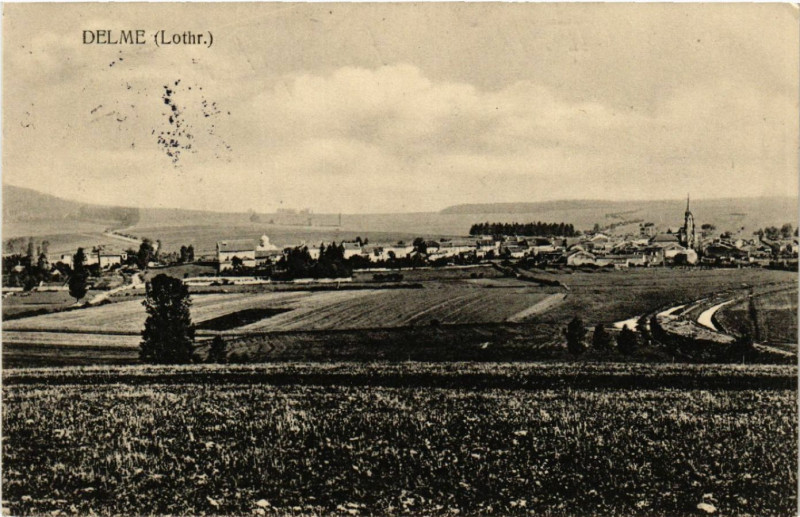 Carte postale ancienne Delme - Lothr. - Vue - Panorama à Delme