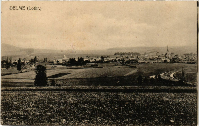 Carte postale ancienne Delme - Lothr. - Vue à Delme