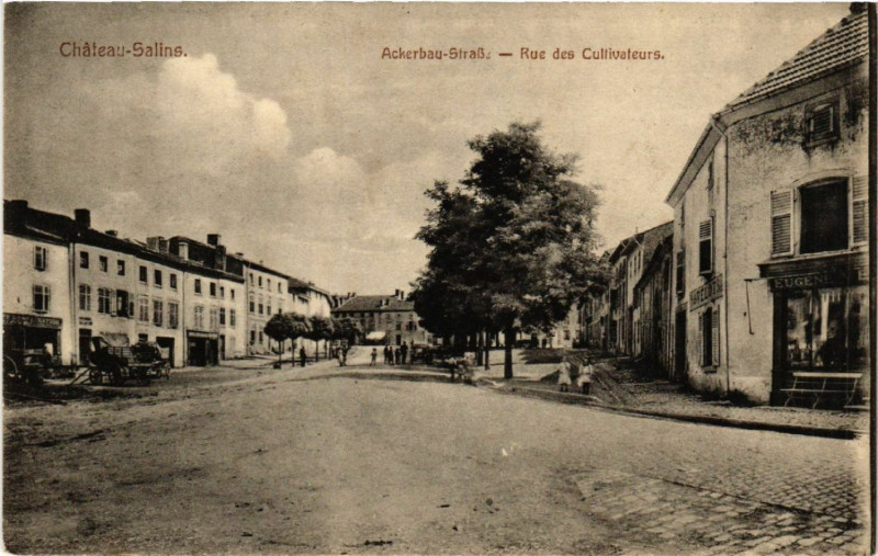 Carte postale ancienne Chateau-Salins - Ackerbau-Strasse - Rue des Cultivateurs à Château-Salins