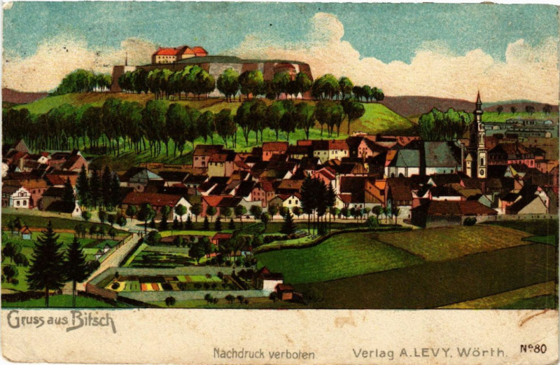 Carte postale ancienne Bitsch - Vue - Panorama