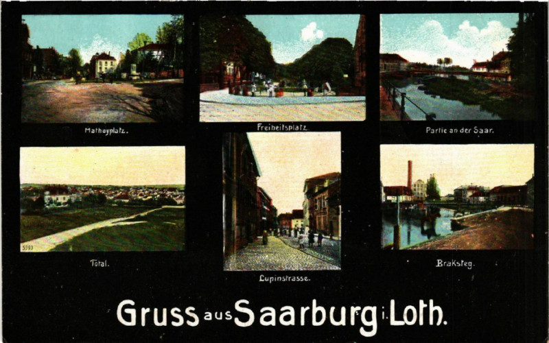 Carte postale ancienne Grass aus Saarburg i. Lothr.
