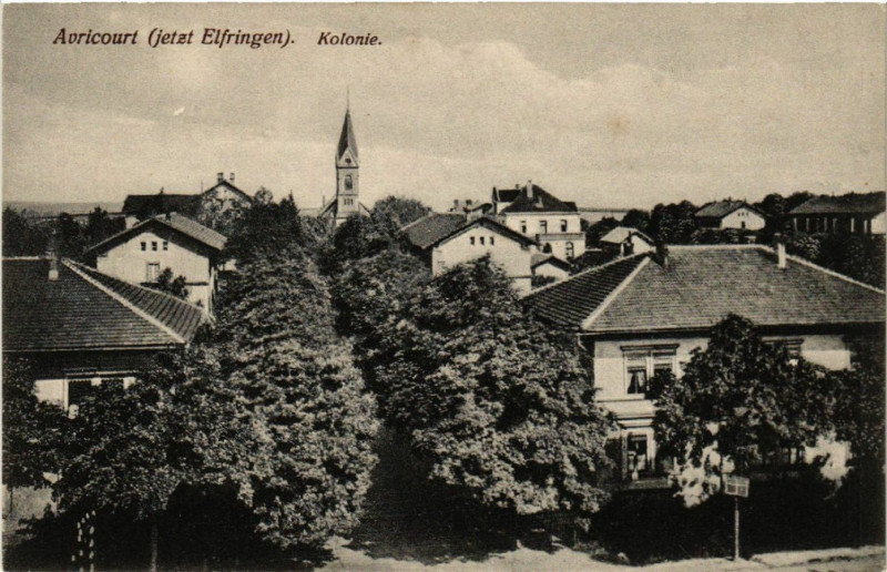 Carte postale ancienne Avricourt - Kolonie à Avricourt