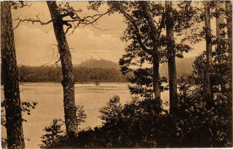Carte postale ancienne Hanauer Weiher b. Philippsburg