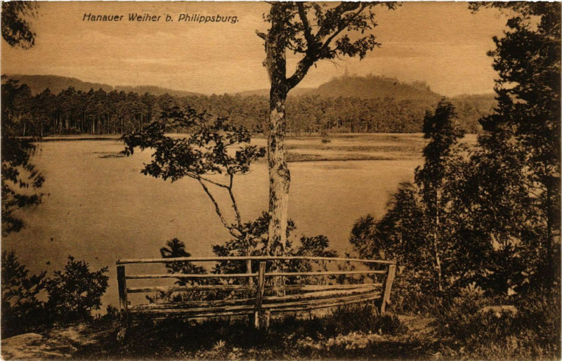 Carte postale ancienne Hanauer Weiher b. Philippsburg