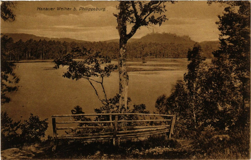 Carte postale ancienne Hanauer Weiher b. Philippsburg
