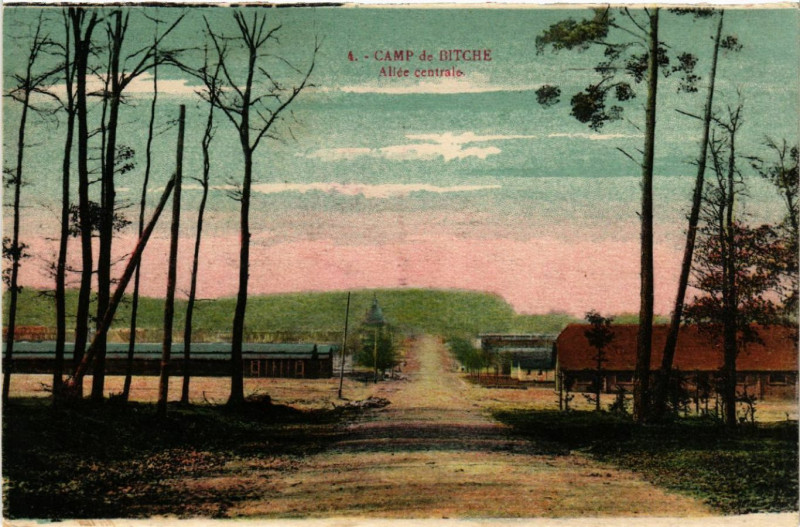 Carte postale ancienne Camp de Bitche - Allée centrale à Bitche