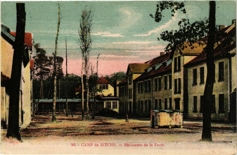 Carte postale ancienne Camp de Bitche - Batiments de la Foret à Bitche