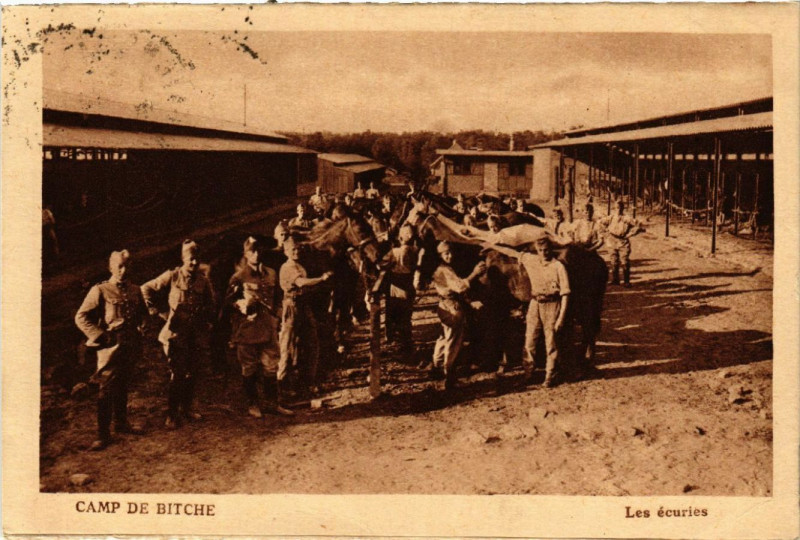 Carte postale ancienne Camp de Bitche - Les ecuries à Bitche
