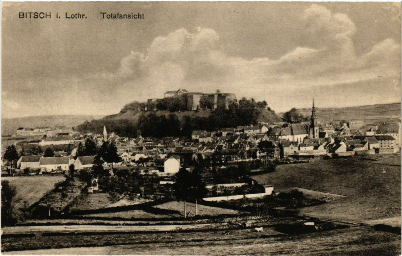 Carte postale ancienne Bitsch i. Lothr - Totalansicht