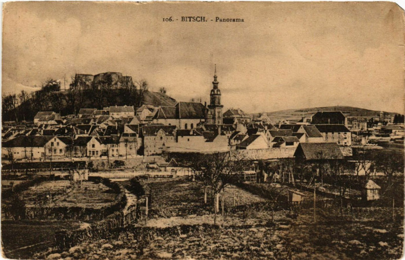 Carte postale ancienne Bitsch - Panorama