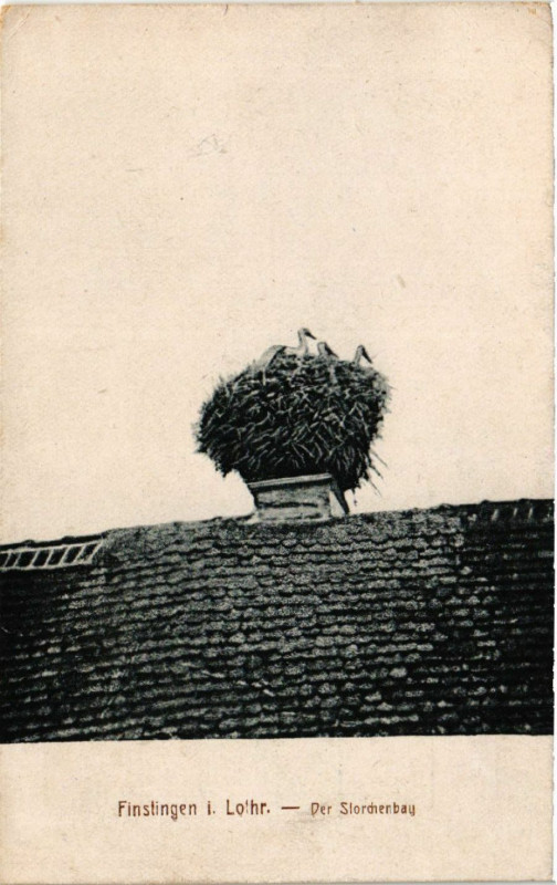 Carte postale ancienne Finstingen i. Lothr - Der Storcenbay