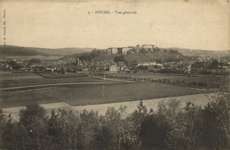 Carte postale ancienne Bitche - Vue générale à Bitche
