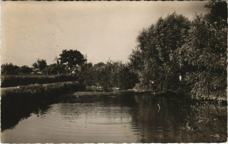 Carte postale ancienne Rully La Mare au trou a Pont à Rully
