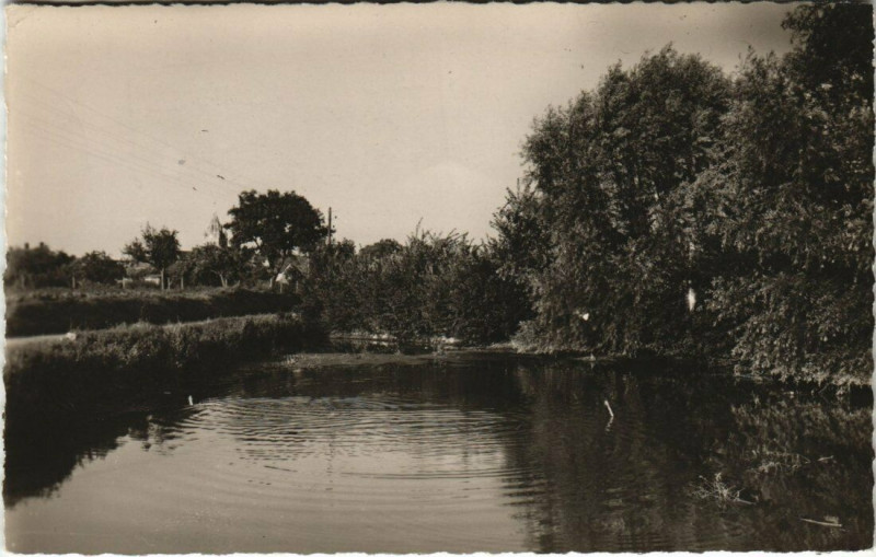 Carte postale ancienne Rully La Mare Au Trou a Paul à Rully