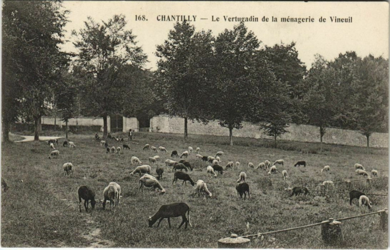 Carte postale ancienne Chatilly - Le Vertugadin de la menagerie de Vineuil
