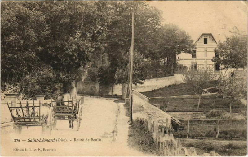 Carte postale ancienne Saint-Leonard - Route de Senlis à Senlis
