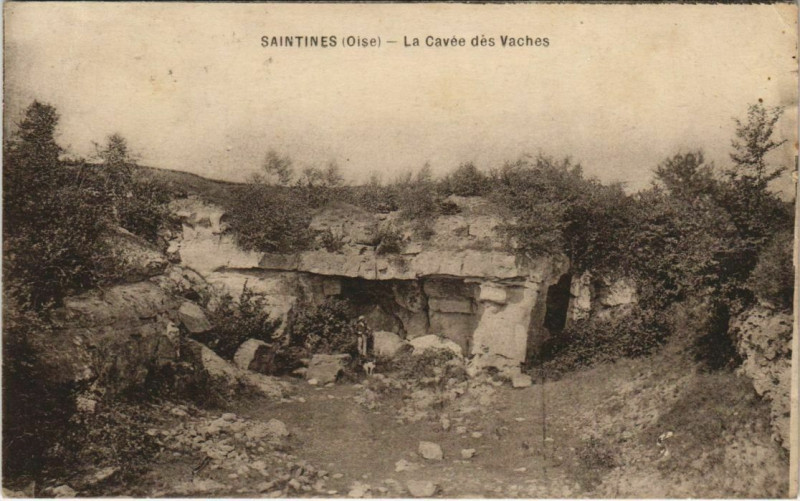 Carte postale ancienne Stines - La Cavée des Vaches