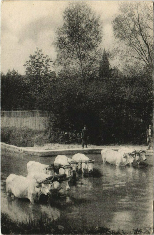 Carte postale ancienne Ver-sur-Launette Le Gue à Ver-sur-Launette