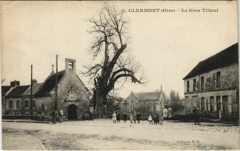 Carte postale ancienne Clermont - Le Gros Tilleul à Clermont