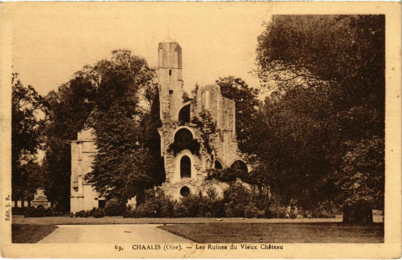 Carte postale ancienne Chaalis - Les Ruines du Vieux Chateau