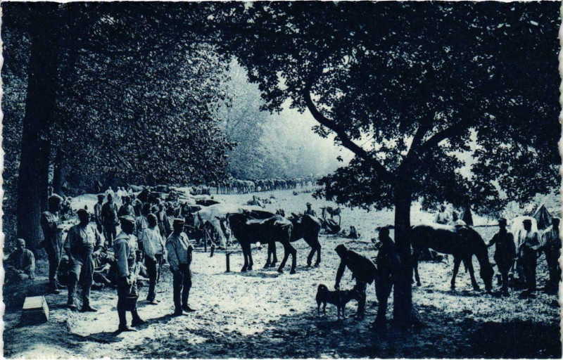 Carte postale ancienne Artillerie au Bivouac - 1915