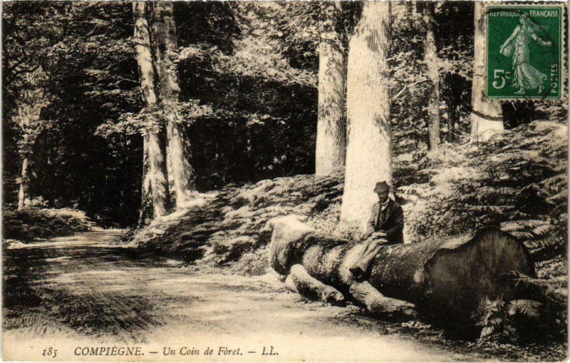 Carte postale ancienne Compiegne - Un Coin de Foret à Compiègne
