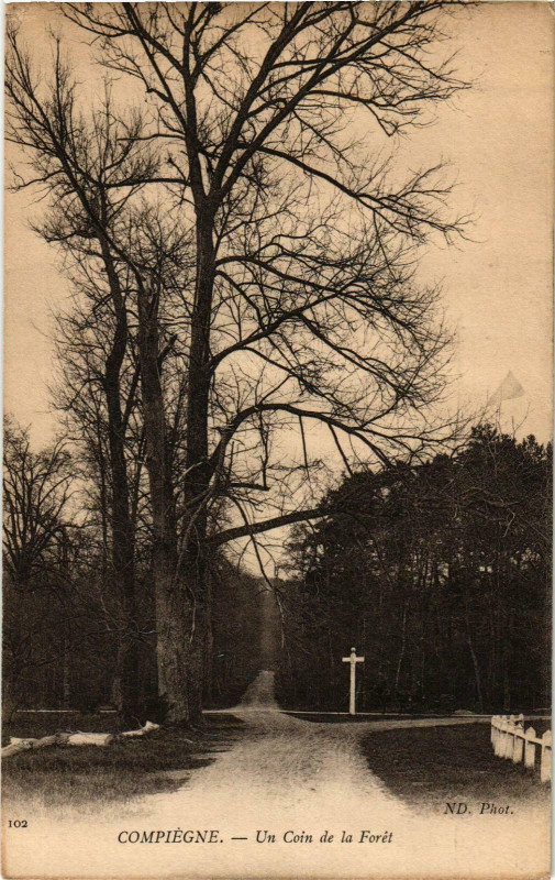 Carte postale ancienne Compiegne- Un Coin de la Foret France à Compiègne