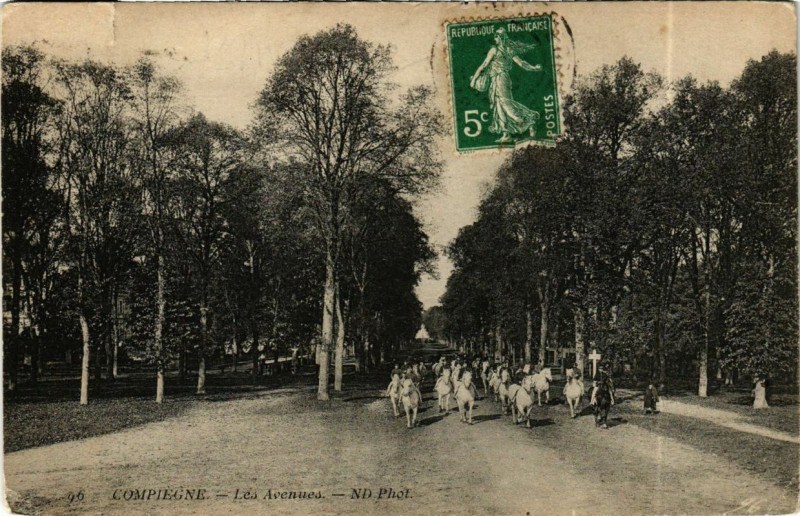 Carte postale ancienne Compiegne Les Avenues à Compiègne