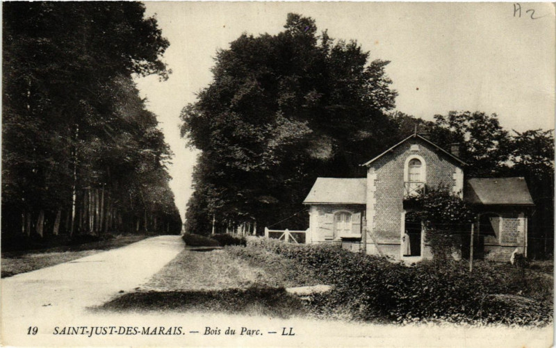 Carte postale ancienne Saint-Just des Marais-Bois du Parc