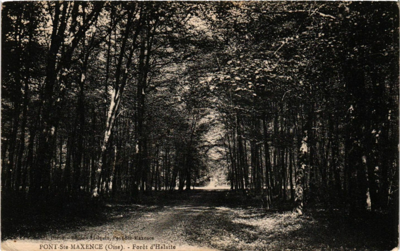 Carte postale ancienne Pont Sainte-Maxence Foret d'Halatte à Pont-Sainte-Maxence