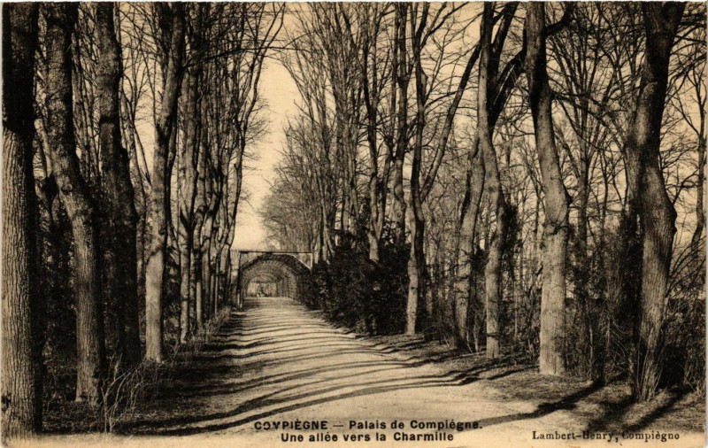 Carte postale ancienne Compiegne-Palais de Compiegne Une allée vers la Charmille à Compiègne