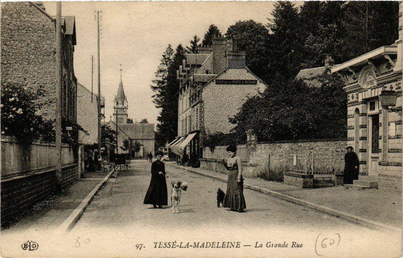 Carte postale ancienne Tesse-la-Madeleine - La Grande Rue