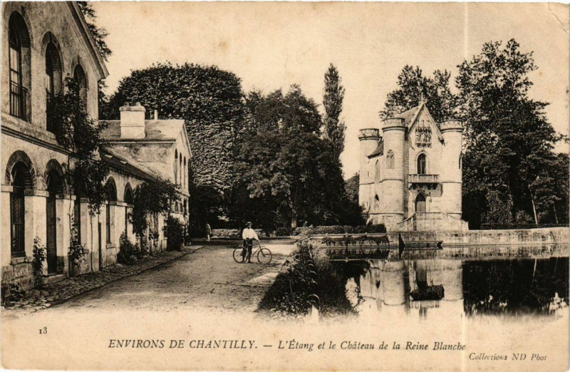 Carte postale ancienne L'Etang et le Chateau de la Rene Blanche