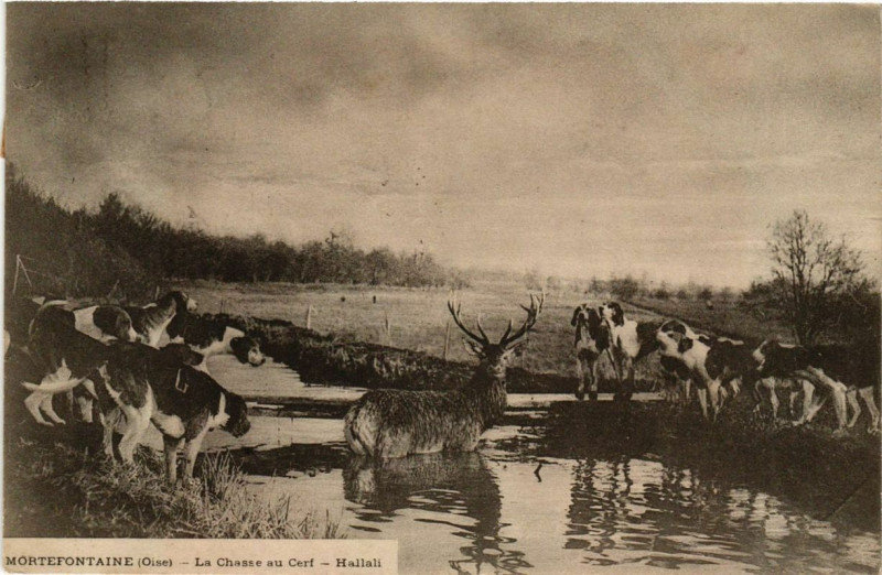 Carte postale ancienne Montdidier La Chasse au Cerf - Hallali